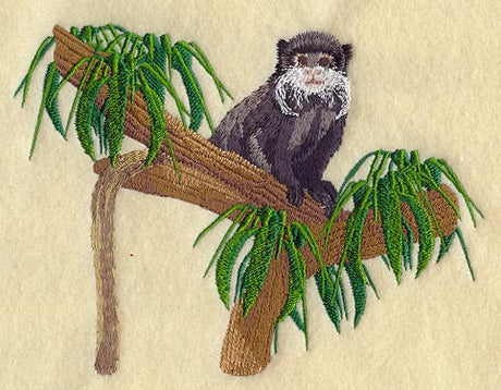 Emperor Tamarin