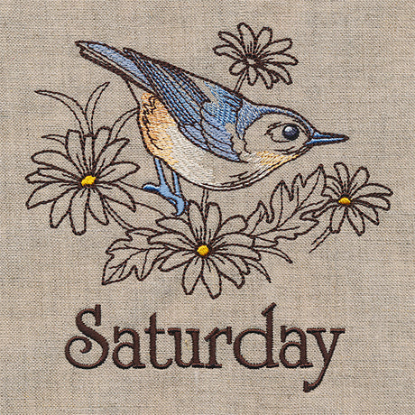 Blessed Saturday - Nuthatch and Chicory