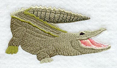 Crocodile
