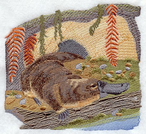 Riverside Duck-Billed Platypus