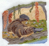 Riverside Duck-Billed Platypus