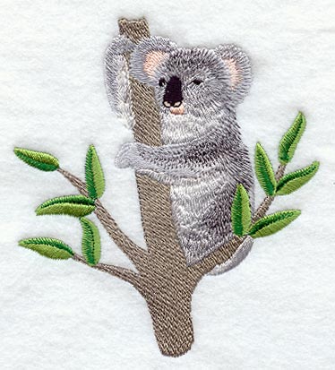 Koala