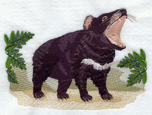 Tasmanian Devil Scene