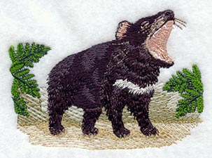 Tasmanian Devil Scene