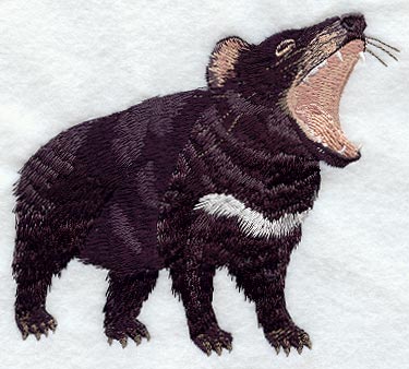 Tasmanian Devil
