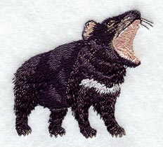 Tasmanian Devil