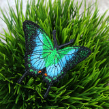 Free-Flying Malabar Banded Peacock (In-the-Hoop)