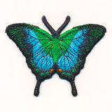 Free-Flying Malabar Banded Peacock (In-the-Hoop)