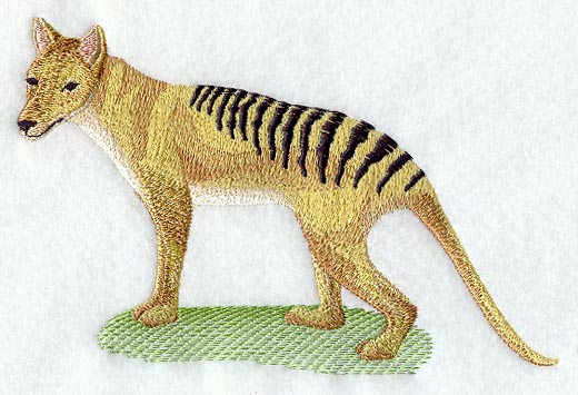 Tasmanian Tiger