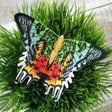 Free-Flying Madagascan Sunset Moth (In-the-Hoop)