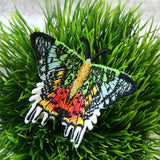 Free-Flying Madagascan Sunset Moth (In-the-Hoop)