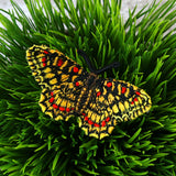 Free-Flying Spanish Festoon (In-the-Hoop)