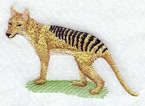 Tasmanian Tiger