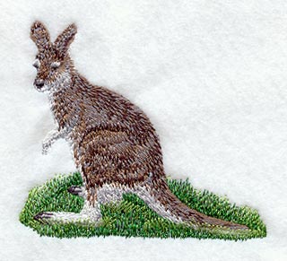 Wallaby