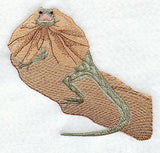Frill-Necked Lizard