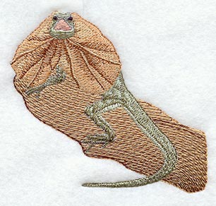 Frill-Necked Lizard