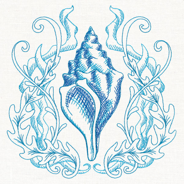 Seaside Shell Etching