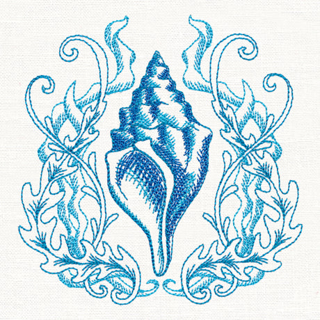 Seaside Shell Etching