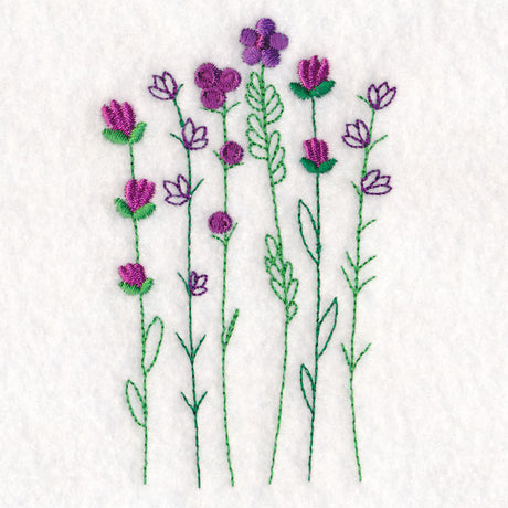 Beautiful Wildflower Stems