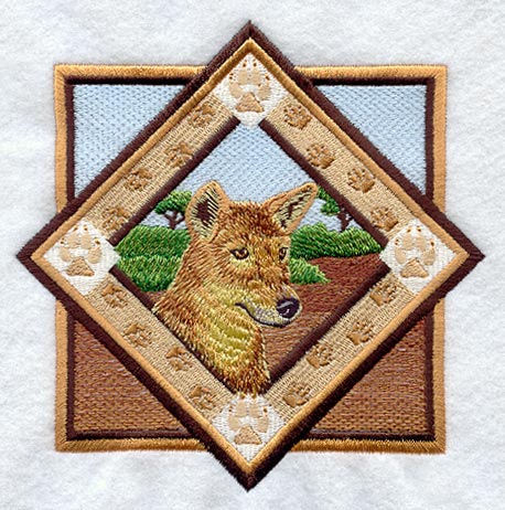 Dingo Track Portrait