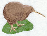 Kiwi