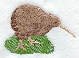 Kiwi