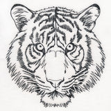 Hypnotic Tiger