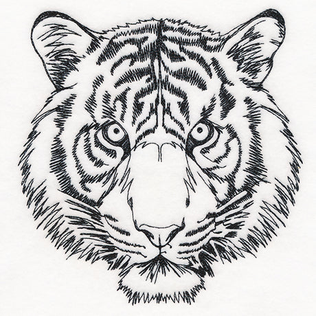 Hypnotic Tiger