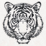 Hypnotic Tiger