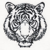 Hypnotic Tiger