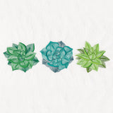 Succulents Trio