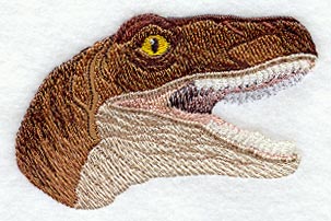 Velociraptor Head