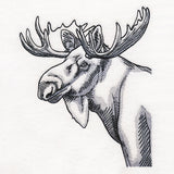 Peeking Moose Etching