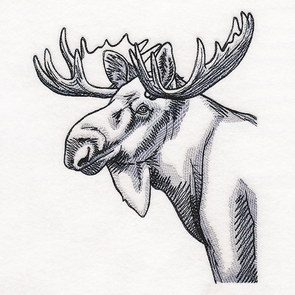 Peeking Moose Etching