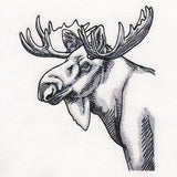 Peeking Moose Etching