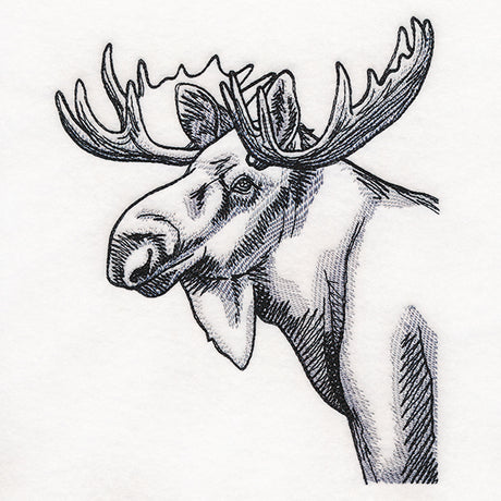 Peeking Moose Etching