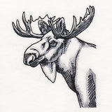 Peeking Moose Etching