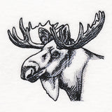 Peeking Moose Etching
