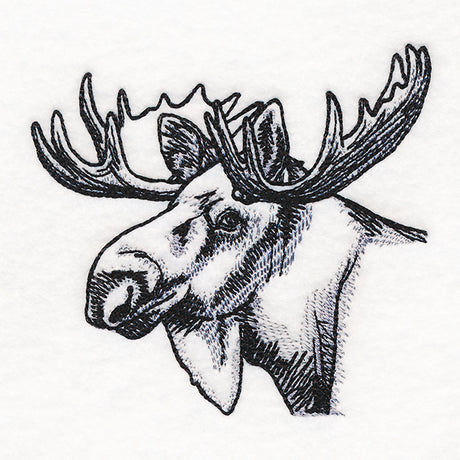 Peeking Moose Etching