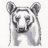 Peeking Bear Etching