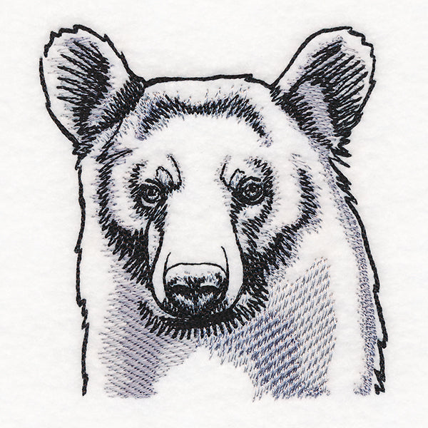 Peeking Bear Etching