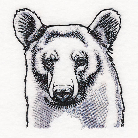 Peeking Bear Etching