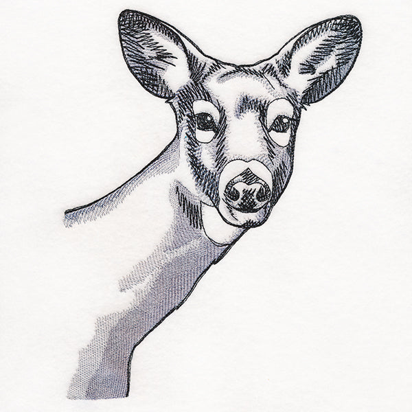 Peeking Deer Etching