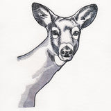 Peeking Deer Etching