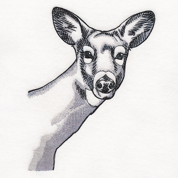 Peeking Deer Etching