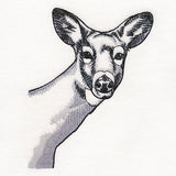 Peeking Deer Etching