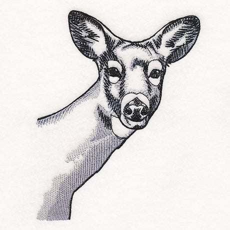 Peeking Deer Etching