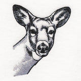 Peeking Deer Etching