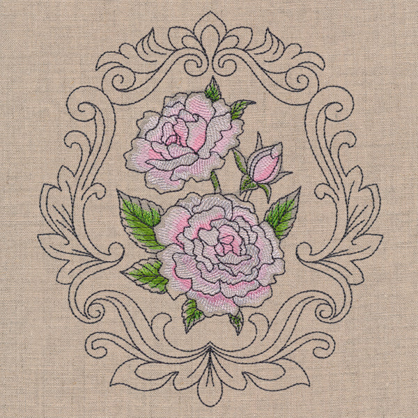 Baroque Blooms Cameo - Madame Alfred Carriere Rose