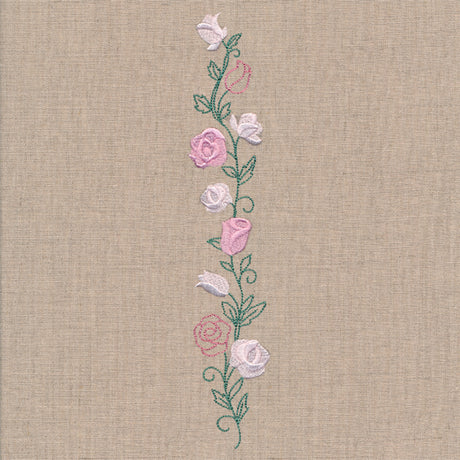 Delicate Rose Border